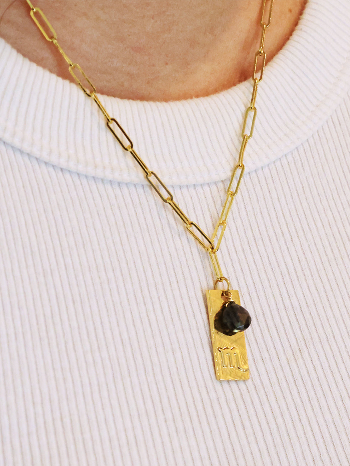 Zodiac: Dog Tag with Labradorite on Paperclip Chain – Santore Company