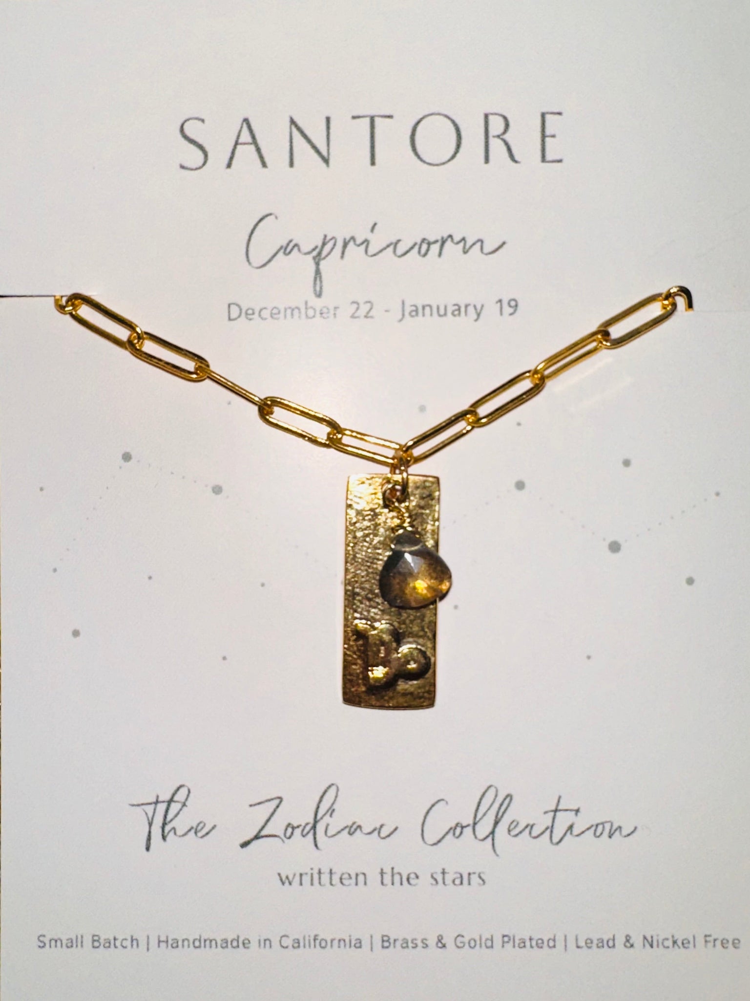 Zodiac: Dog Tag with Labradorite on Paperclip Chain