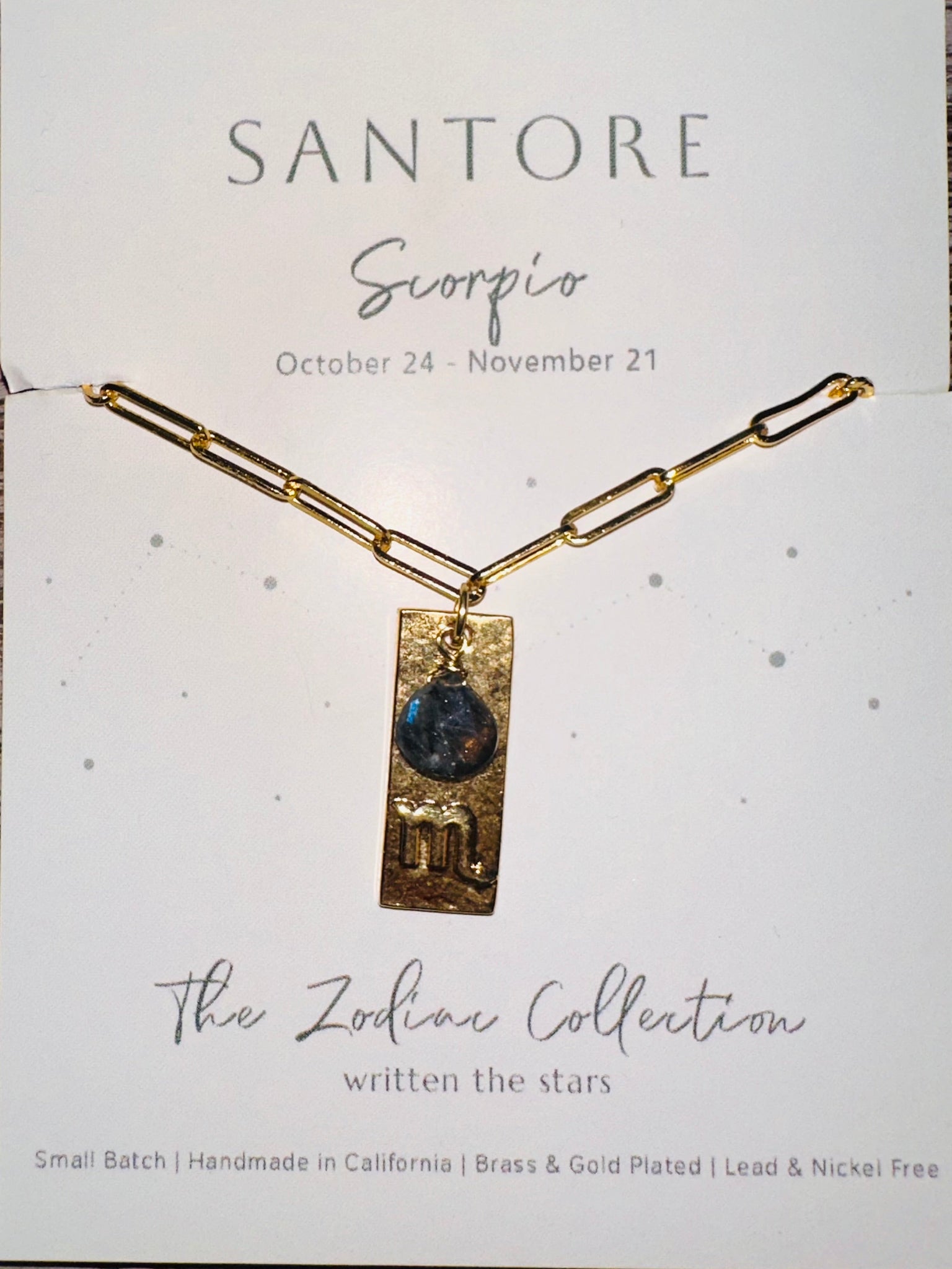 Zodiac: Dog Tag with Labradorite on Paperclip Chain